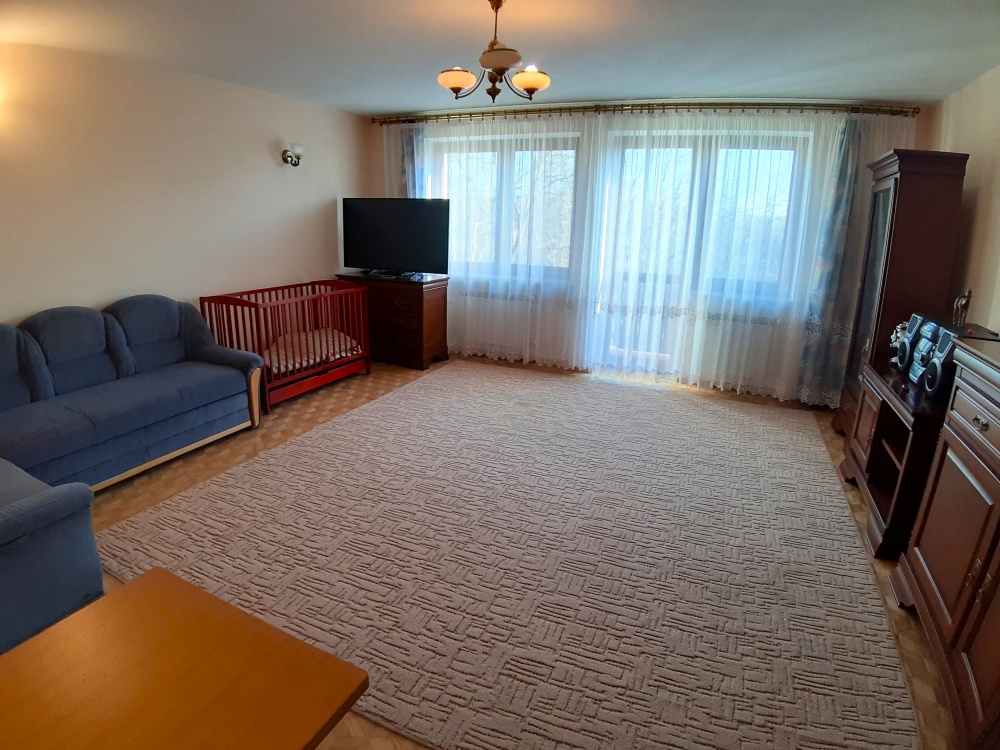 Duży, zadbany, do wprowadzenia - 16