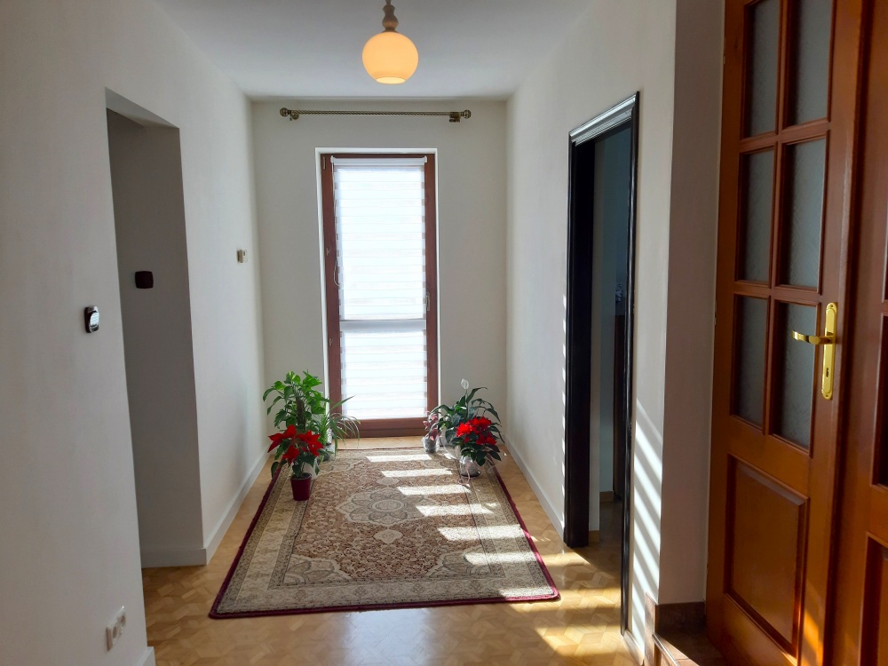 Duży, zadbany, do wprowadzenia - 18