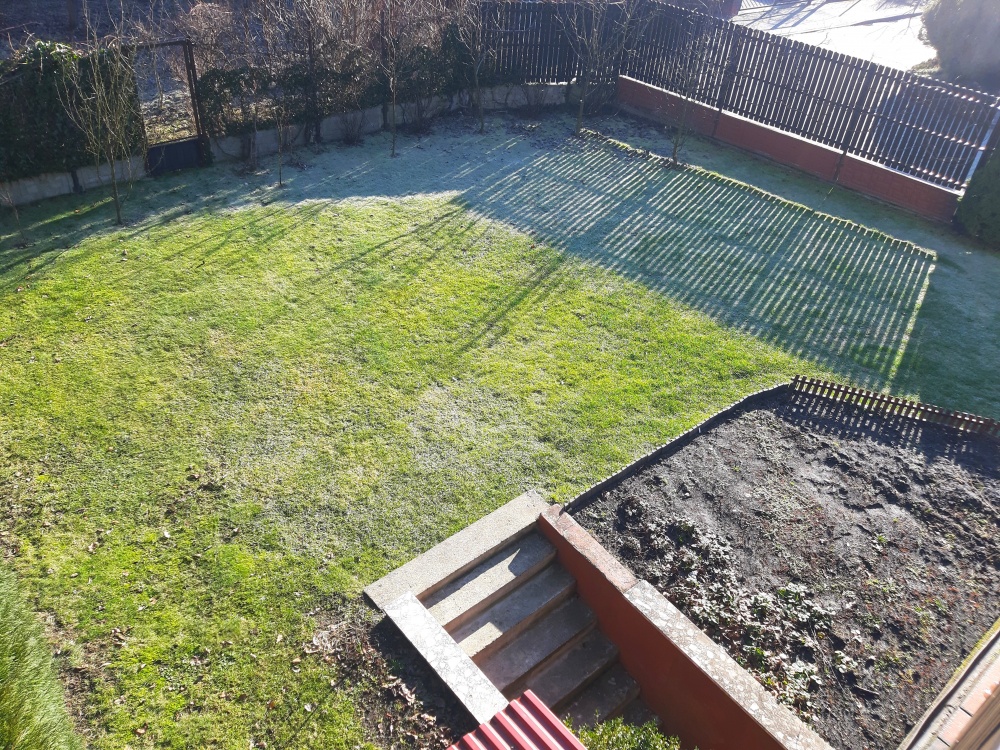 Duży, zadbany, do wprowadzenia - 19