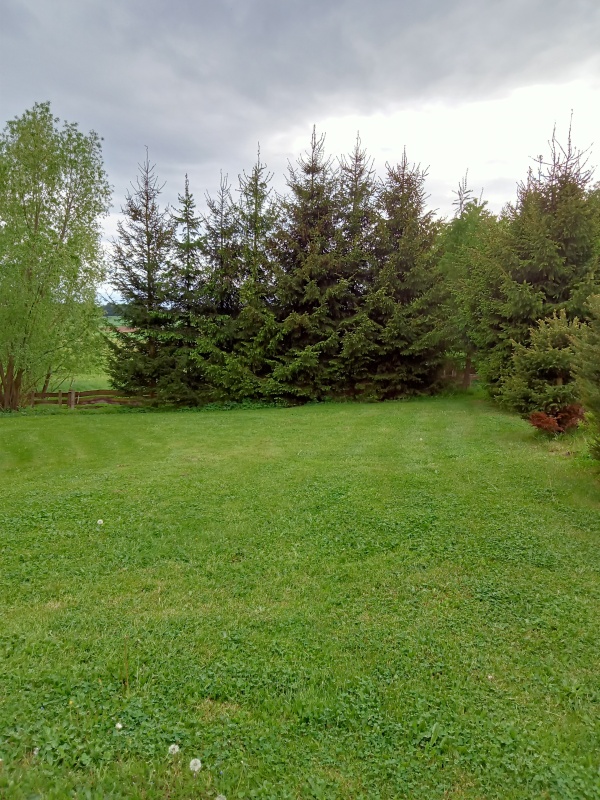 Sprzedam działkę obok Polanicy-Zdroju-=SUDETY-GORY STOLOWE - 3