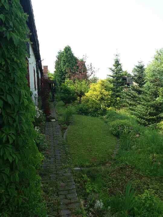  Sprzedam obszerny parterowy dom pod miastem- cena do negocjacji ! - 1