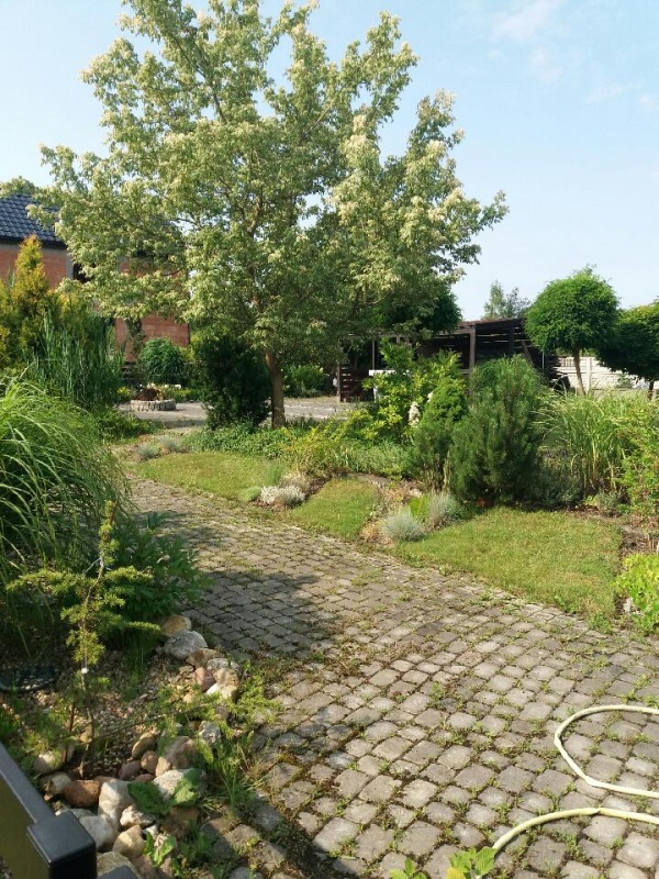  Sprzedam obszerny parterowy dom pod miastem- cena do negocjacji ! - 3