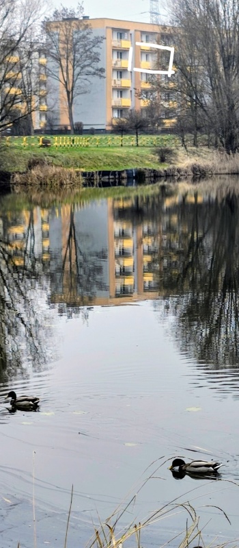 Sprzedam mieszkanie 2pokojowe  - 0