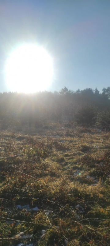 JUSZOWICE gmina Rudna KLIMATYCZNA DZIAŁKA z MPZP - 0