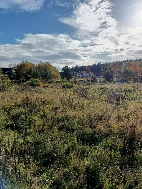 JUSZOWICE gmina Rudna KLIMATYCZNA DZIAŁKA z MPZP - 6