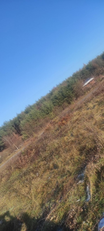 JUSZOWICE gmina Rudna KLIMATYCZNA DZIAŁKA z MPZP - 12