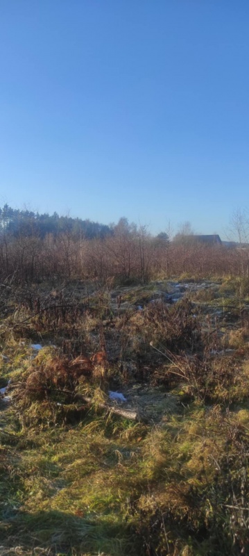 JUSZOWICE gmina Rudna KLIMATYCZNA DZIAŁKA z MPZP - 14