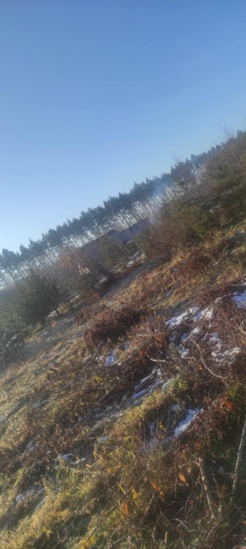 JUSZOWICE gmina Rudna KLIMATYCZNA DZIAŁKA z MPZP - 16