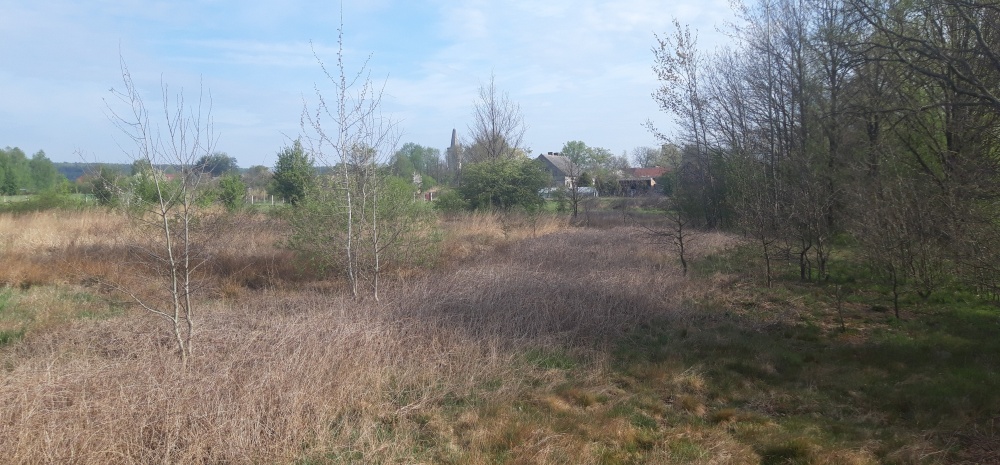 Twoje miejsce na dom wśród zieleni – Koźla, 2400 m² - 4