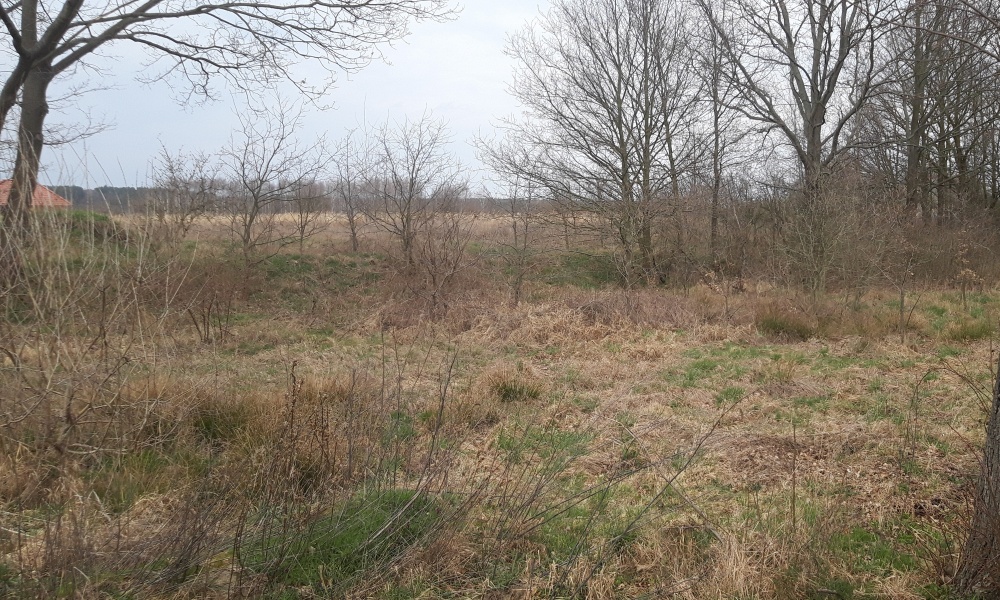Twoje miejsce na dom wśród zieleni – Koźla, 2400 m² - 6