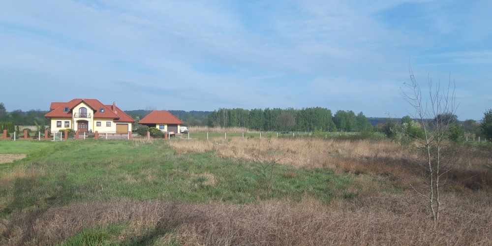 Twoje miejsce na dom wśród zieleni – Koźla, 2400 m² - 5