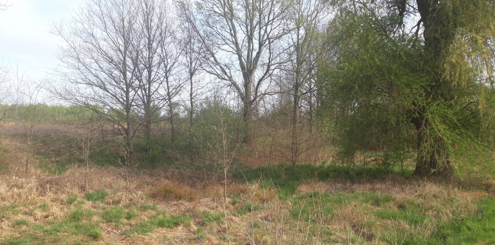 Twoje miejsce na dom wśród zieleni – Koźla, 2400 m² - 8