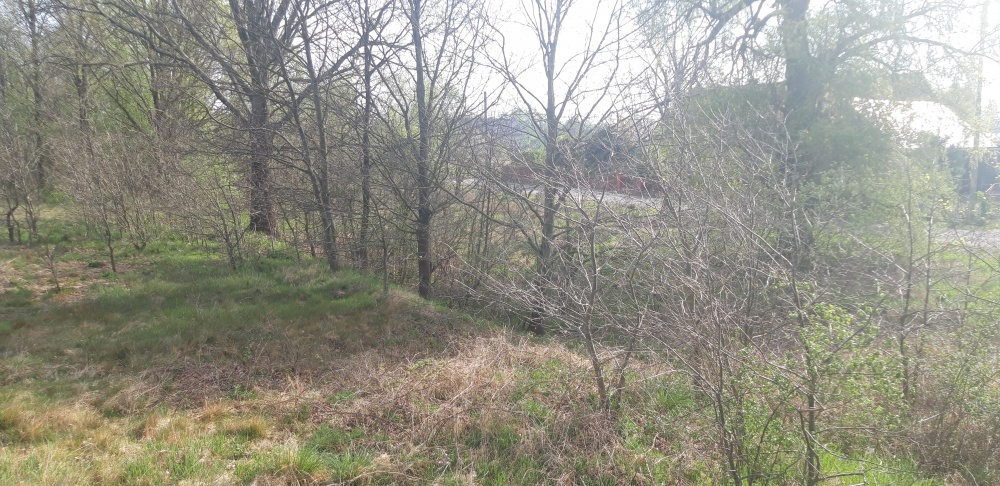 Twoje miejsce na dom wśród zieleni – Koźla, 2400 m² - 7