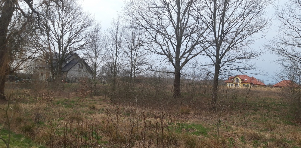 Twoje miejsce na dom wśród zieleni – Koźla, 2400 m² - 1