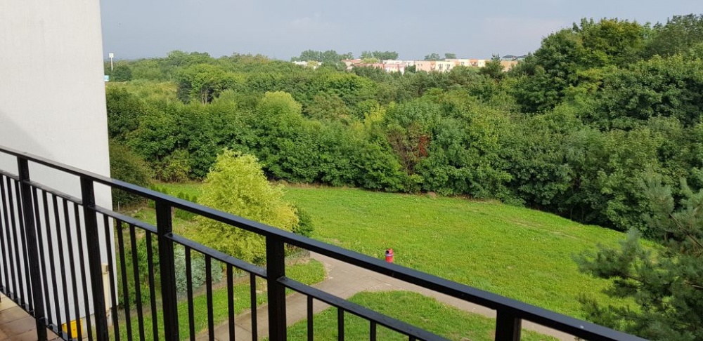 Mam do wynajęcia mieszkanie 2 pokojowe w Gdyni Pogórzu - 2