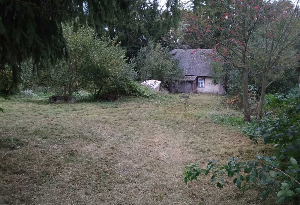 Siedlisko z potencjałem – 55 arów w Draganach (Lubelskie) – blisko natury i cywilizacji - 2