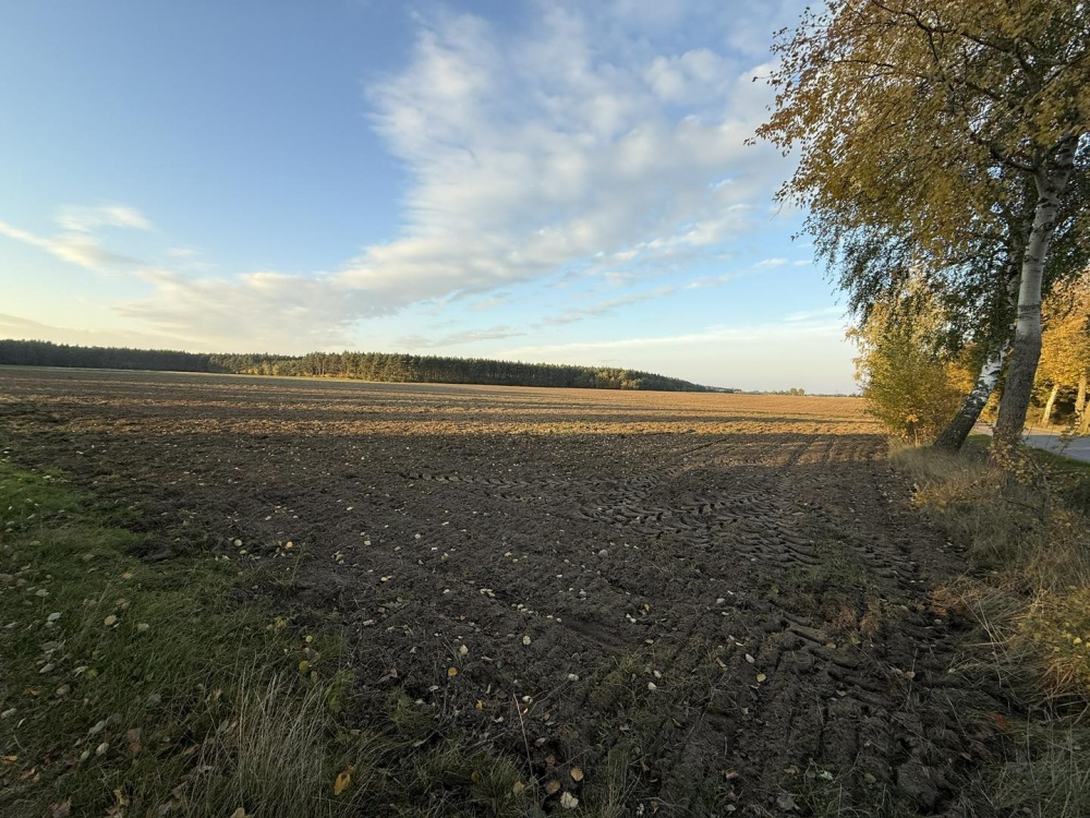 OFERTA SPRZEDAŻY LUB DŁUGOTERMINOWEJ DZIERŻAWY ŻWIROWNI – KOCHOWO II - 0