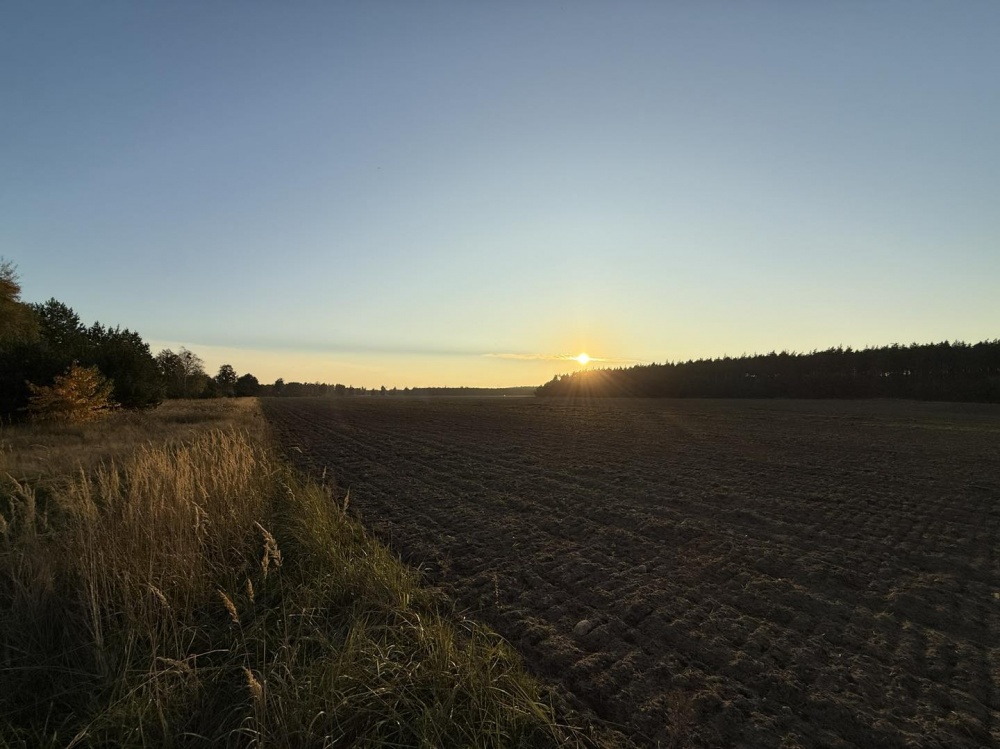 OFERTA SPRZEDAŻY LUB DŁUGOTERMINOWEJ DZIERŻAWY ŻWIROWNI – KOCHOWO II - 3