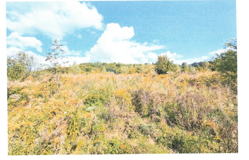 Syndyk sprzeda działki niezabudowane - 0