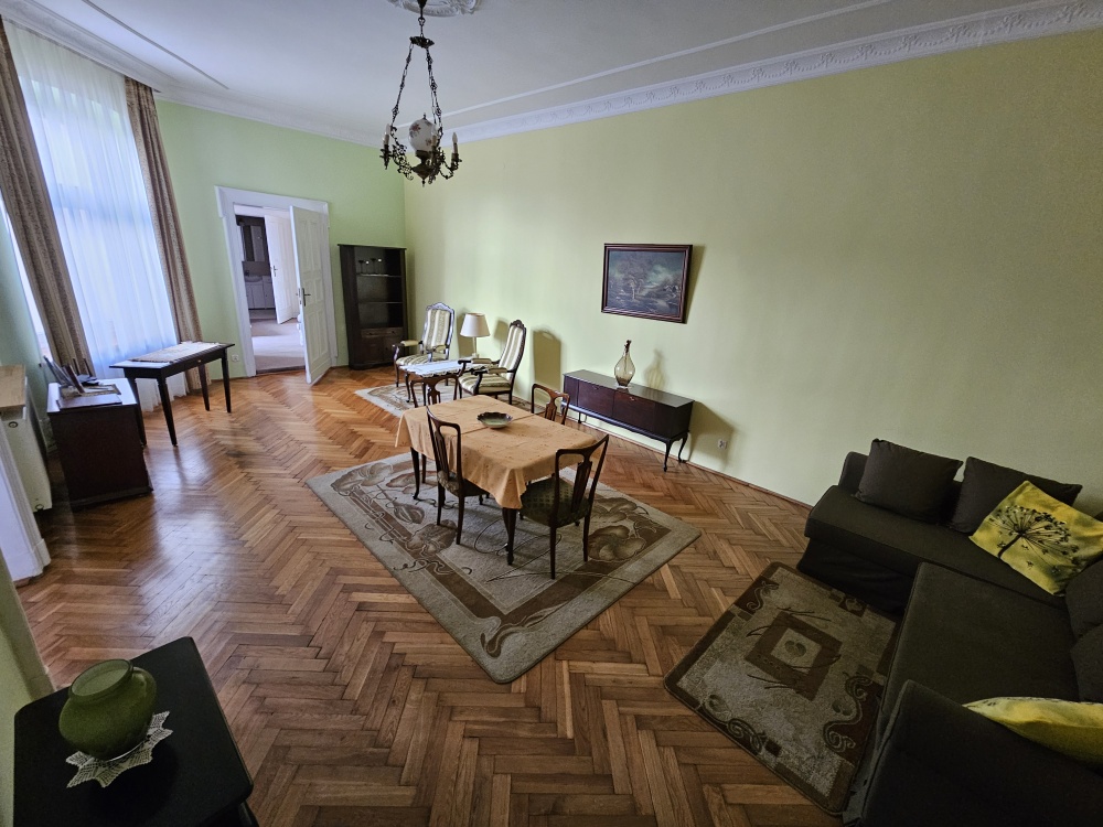 Atrakcyjne mieszkanie 140m2 do wynajęcia ul.Piotrkowska 114  - 2