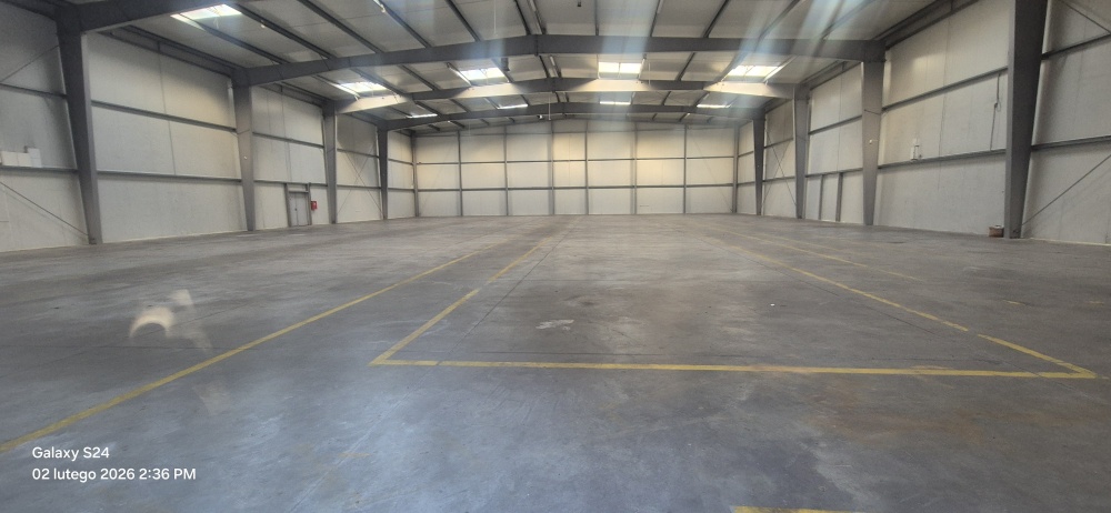 Hala magazynowa z biurami bezpośrednio od właściciela - 6