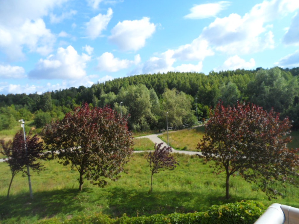 Bezp. 2 pok. w Gdańsku, niski czynsz, widok na park, bezpieczna okolica  - 13