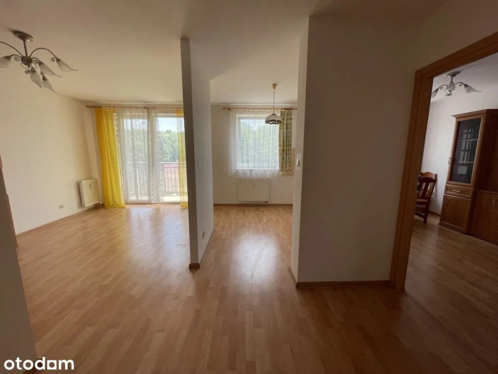 Bezp. 2 pok. w Gdańsku, niski czynsz, widok na park, bezpieczna okolica  - 14