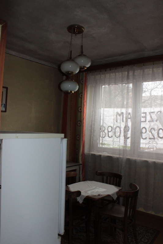 duży DOM z lokalem użytkowym Inwestycja - 10