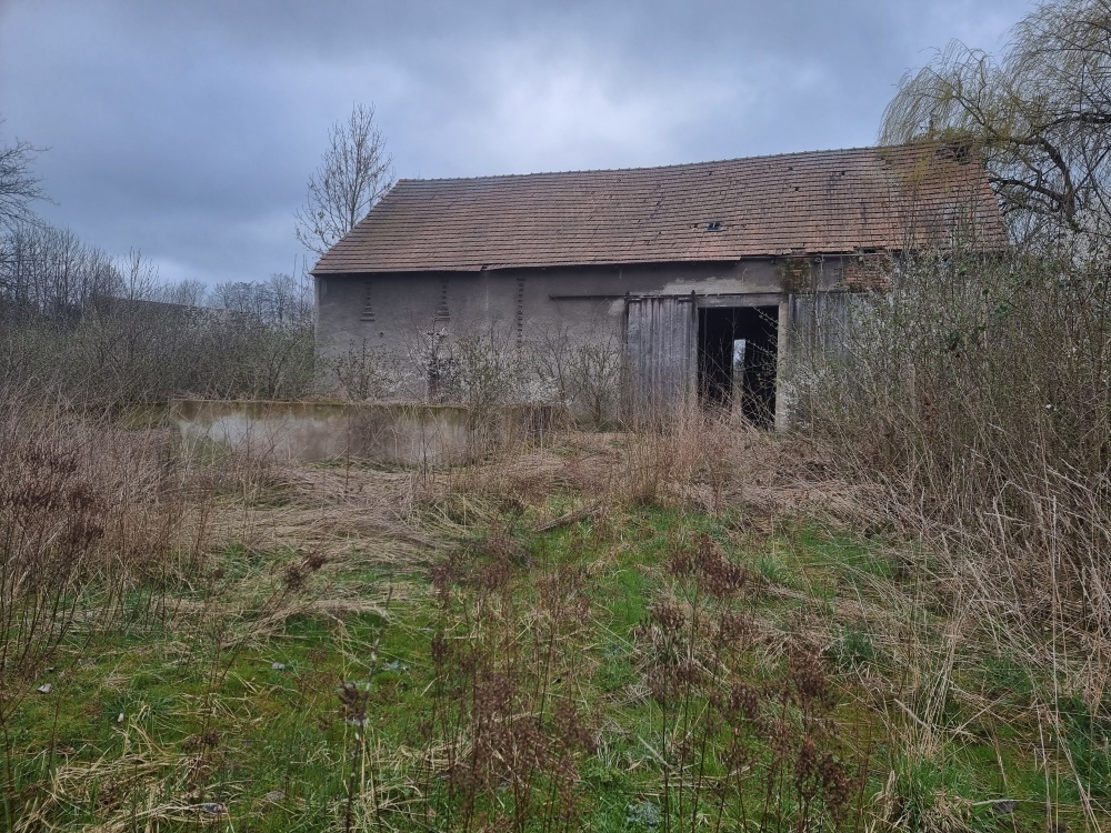 Działka siedliskowa 4200m2 we wsi Niedźwiednik 57-224 w rejonie Ziębic - 2