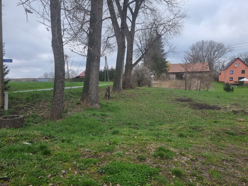 Działka siedliskowa 4200m2 we wsi Niedźwiednik 57-224 w rejonie Ziębic - 3