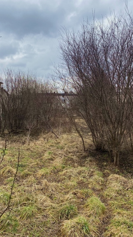 Stary dom z dużą działką | Woźniki - 4