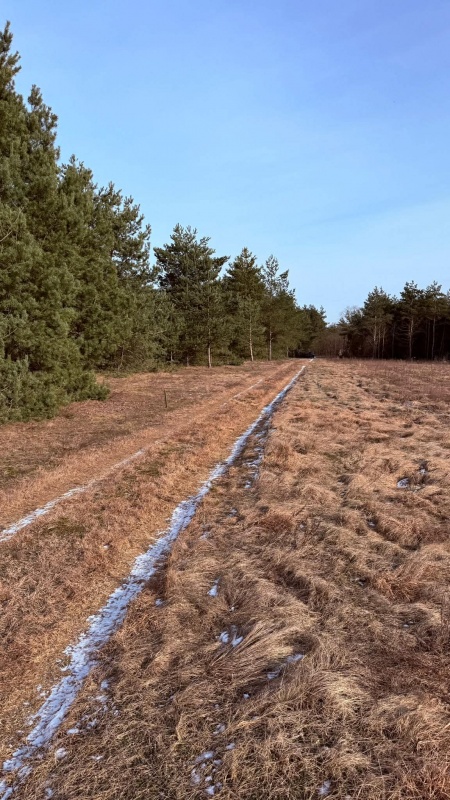 Działka budowlana Rosocha-Kolonia - 5