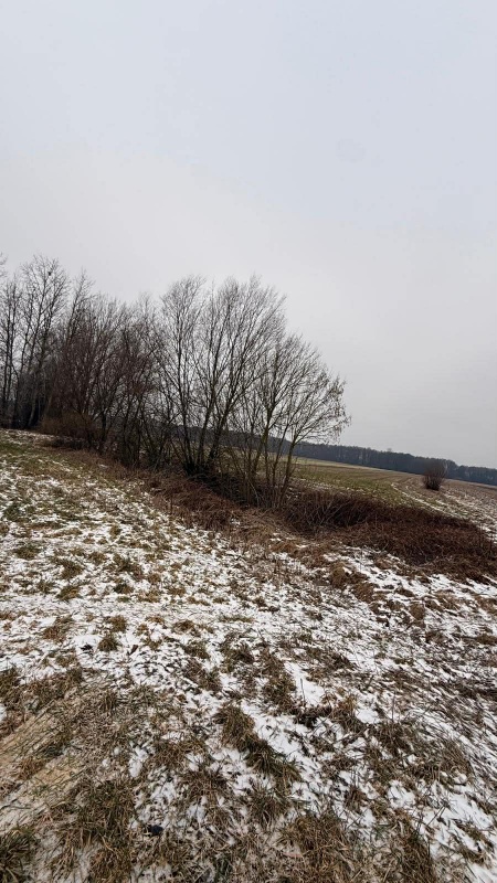 Siedlisko – 1,66 ha z Lasem i Działką Budowlaną  W MILEJEWIE, GM. OSTROWITE - 2