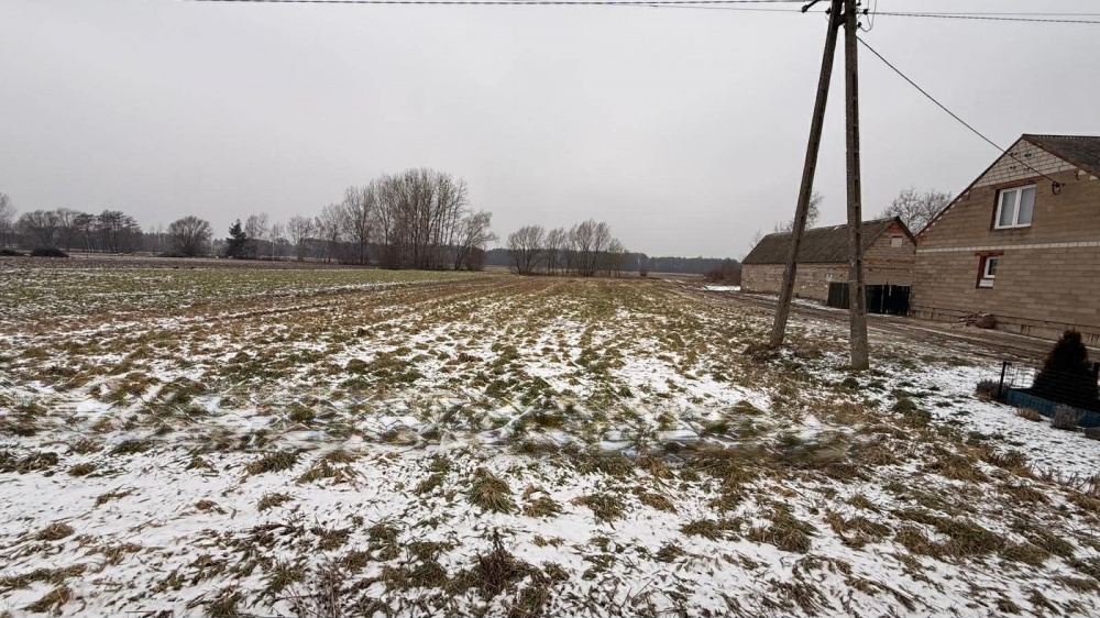 Siedlisko – 1,66 ha z Lasem i Działką Budowlaną  W MILEJEWIE, GM. OSTROWITE - 4