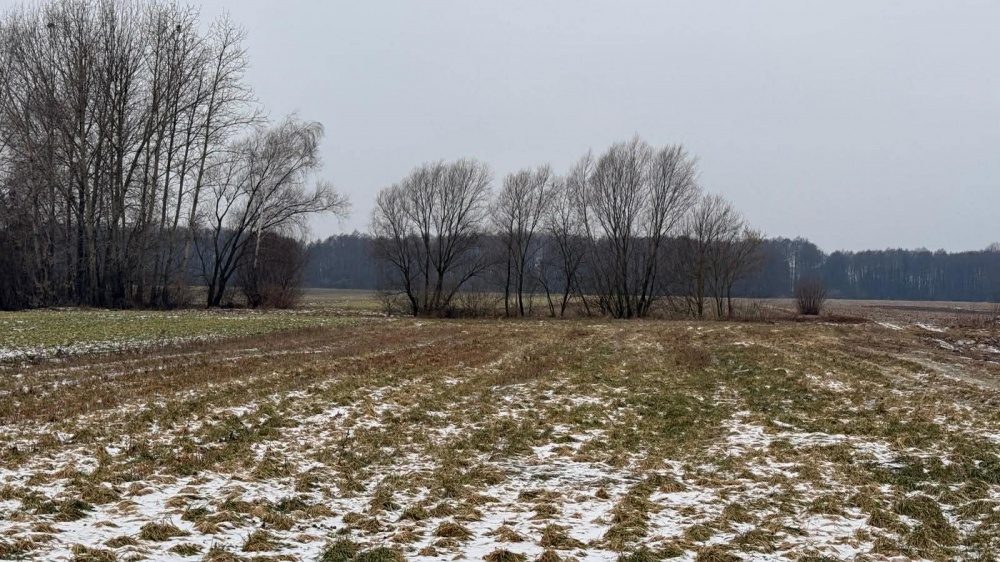 Siedlisko – 1,66 ha z Lasem i Działką Budowlaną  W MILEJEWIE, GM. OSTROWITE - 5