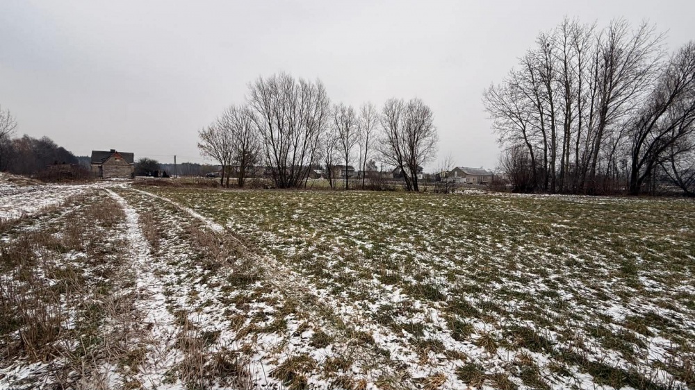 Siedlisko – 1,66 ha z Lasem i Działką Budowlaną  W MILEJEWIE, GM. OSTROWITE - 7