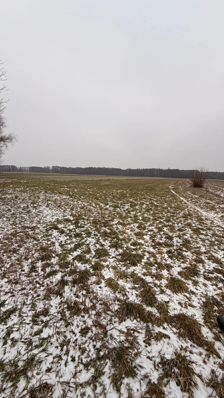 Siedlisko – 1,66 ha z Lasem i Działką Budowlaną  W MILEJEWIE, GM. OSTROWITE - 9
