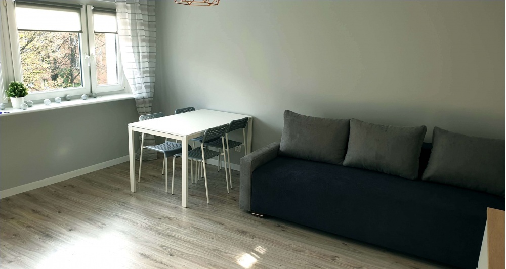 Doskonale zlokalizowane 2-pokojowe mieszkanie w Poznaniu na Grunwaldzie,Bułgarska - 9