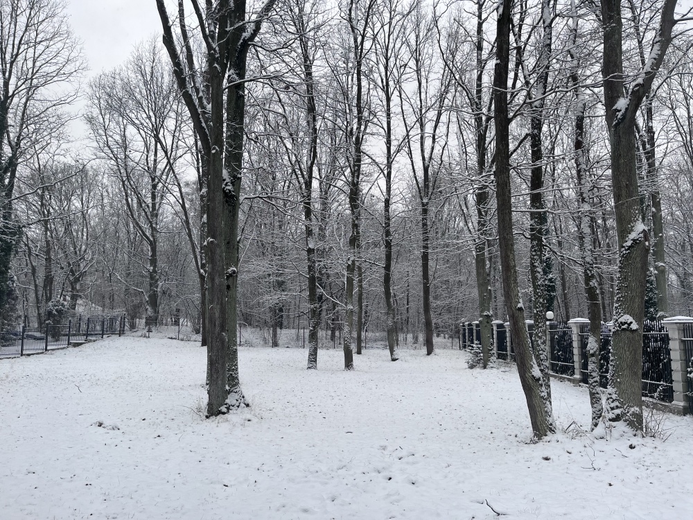 Dom z działką na sprzedaż Warszawa Anin - 18