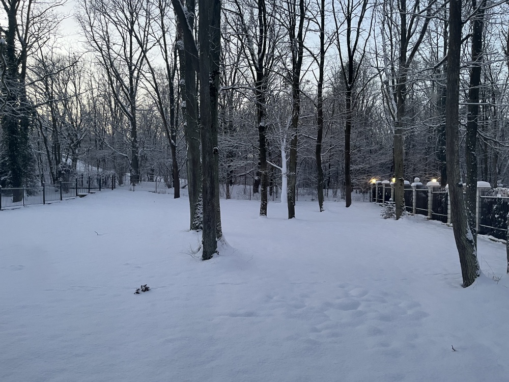 Dom z działką na sprzedaż Warszawa Anin - 19