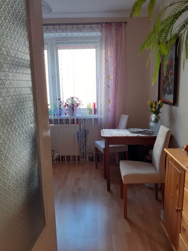 Płaszów: Przytulne 1-pokojowe 37 m2 na 1. piętrze wynajmę - 3