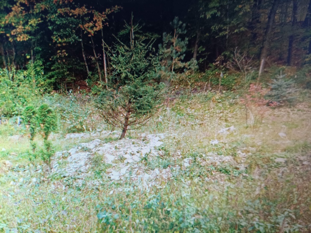 Działka udowlana w zagórniku - 5