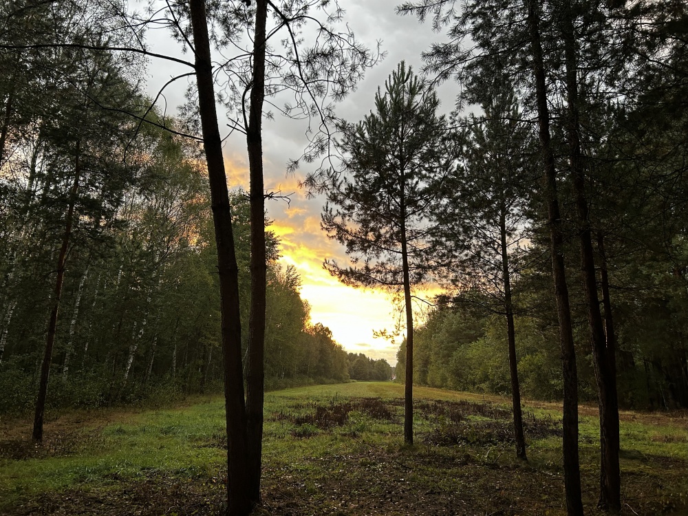 UROKLIWE MIEJSCE BLISKO NATURY  - 1