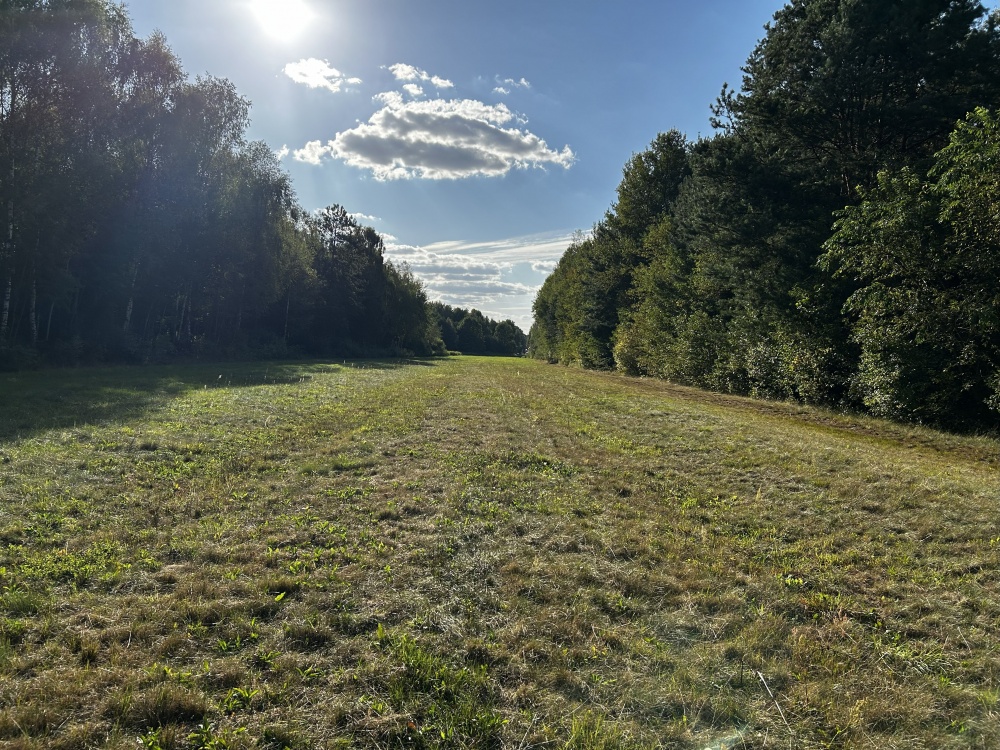 UROKLIWE MIEJSCE BLISKO NATURY  - 2