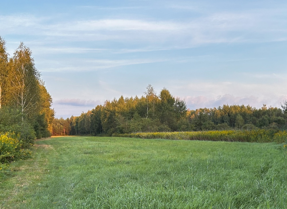 UROKLIWE MIEJSCE BLISKO NATURY  - 3