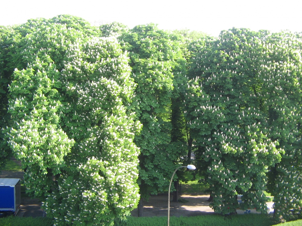 Sprzedam mieszkanie 4 pokojowe 78m2 - 7