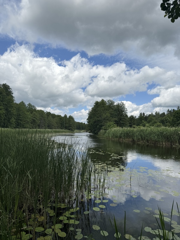 Działka pod zabudowę jednorodzinną w okolicy Ełku - 5