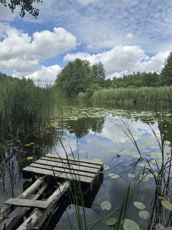 Działka pod zabudowę jednorodzinną w okolicy Ełku - 6