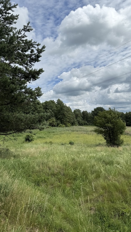 Działka pod zabudowę jednorodzinną w okolicy Ełku - 3