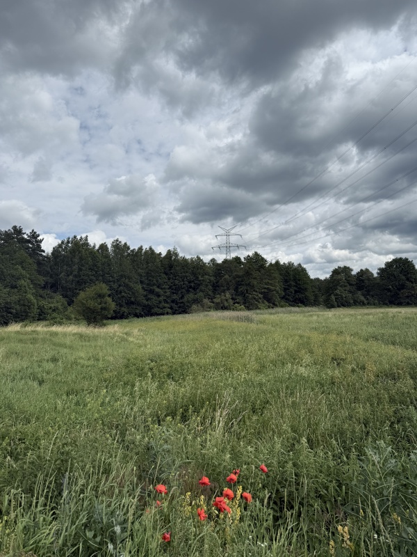 Działka pod zabudowę jednorodzinną w okolicy Ełku - 7
